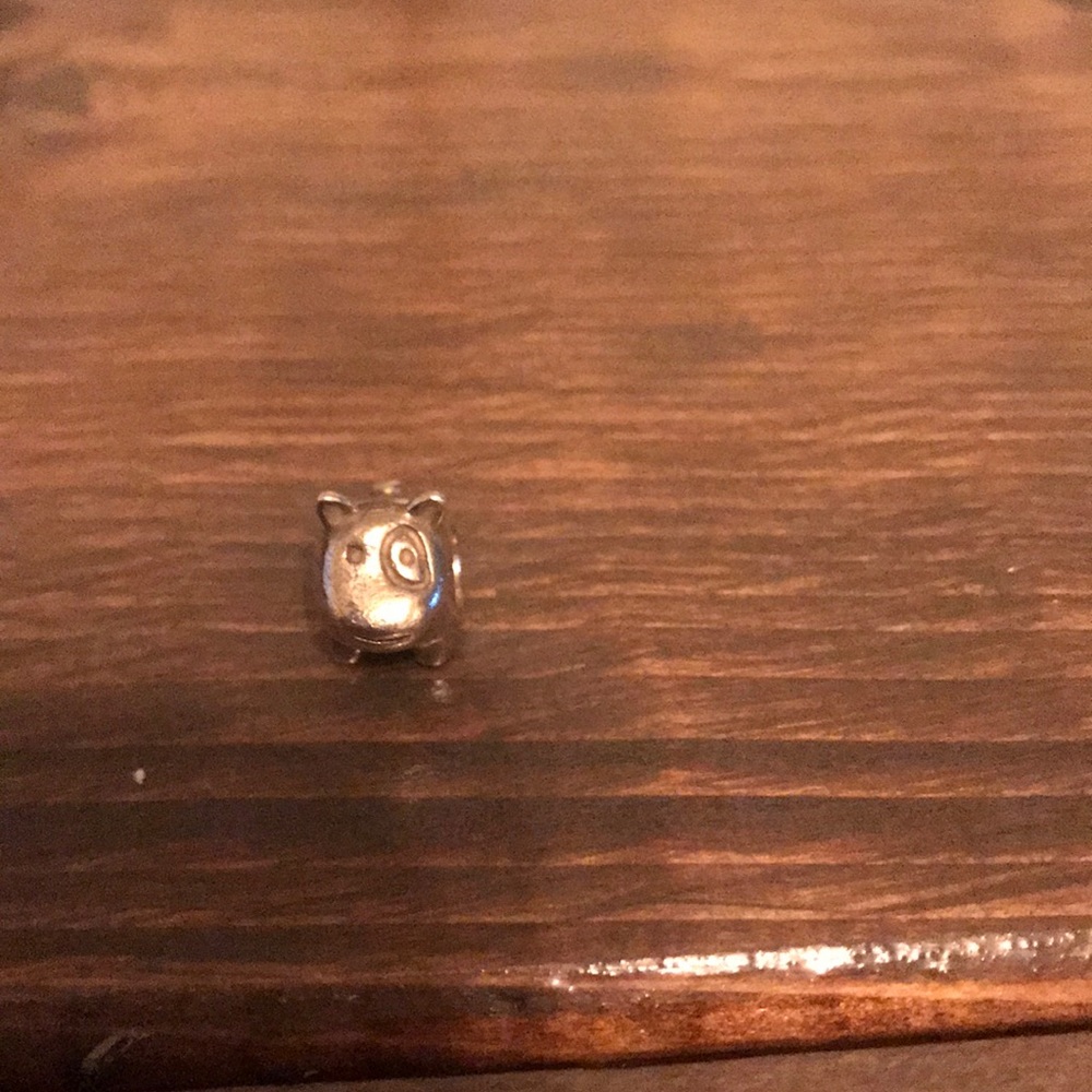Dog charm retired pandora